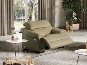 Potenza C063 fabric leather chair by natuzzi editions