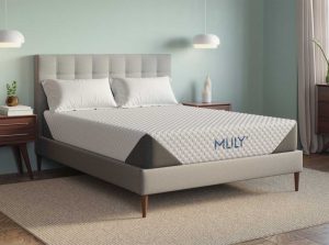 MLILY HarmonyPlus Mattress Memory Foam