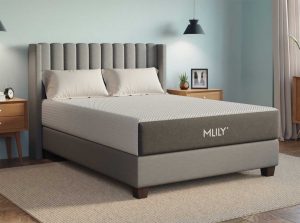 Mlily Fusion Orthopedic Hybrid Mattress