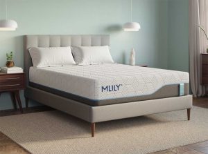 Mlily Harmony Chill 20 Mattress Memory Foam