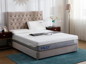 Mlily WellFlex 10 Mattress Memory Foam