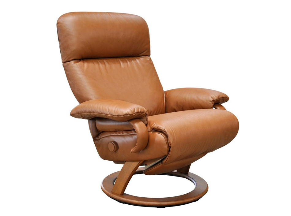 Lafer Taylor Modern Leather Recliner, Contemporary Leather Recliner