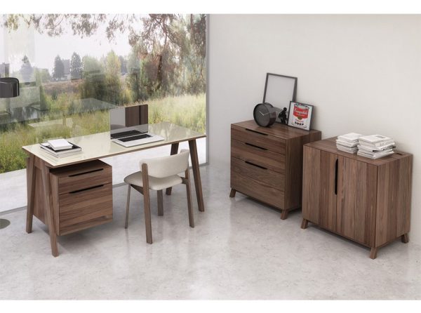 Modern Office Desk Howard by Huppe | Made in Canada