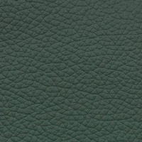 5150 Green Leather