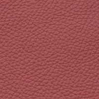 5190 Brick Red Leather