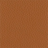 P37 Terra Di Siena Leather