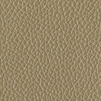 P61 Champagne Leather
