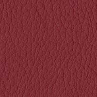 S09 Burgundy-Red Eco-Leather