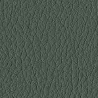 S42 Dark Green Eco-Leather