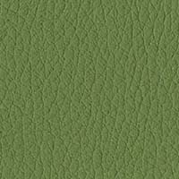 S84 Forest Green Eco-Leather