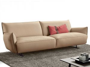 Cocoon Contemporary Sofa By Gamma Italy front