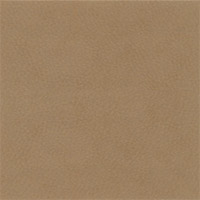 Caramel Nubuck PPM