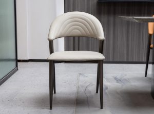 Amelia DC Light Gray Front Modern Chair 1