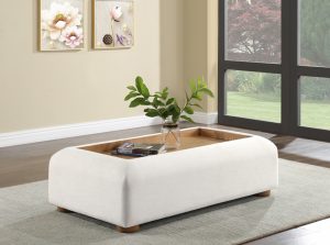 diana coffee table meridian 1