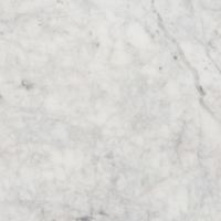 White Marble with Light Grey Veining