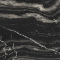 Black Marble with Light Grey Veining