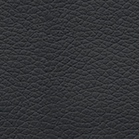 Eco-Leather SX Black