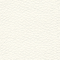 Eco-Leather SX White