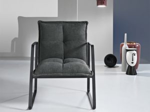 fabia accent chair ikone 2