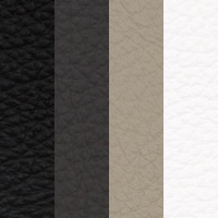 Dollaro Leather (Grade III )
