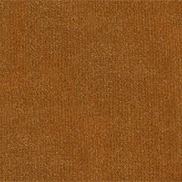 DOD Color 07