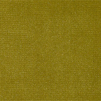 DOD Color 19