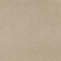 DOD Color 22