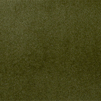 DUB Color 22