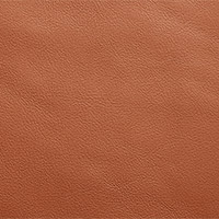 Diamond Color 4170