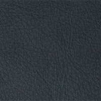 Nevada Color 2401