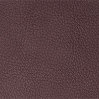 Nevada Color 2402