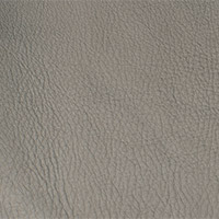 Nevada Color 2417