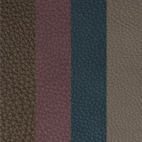 Leather Nevada 2000