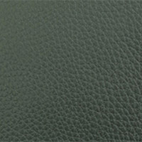 Nobile Color 3061