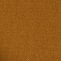REG Color 06