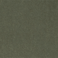 REG Color 33