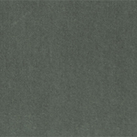 REG Color 36
