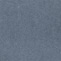 REG Color 66
