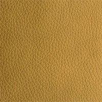 Royal Color 2355