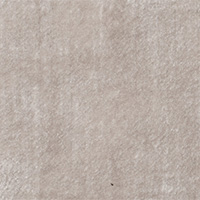 VEG Color 10