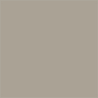 C2GS Ash Grey