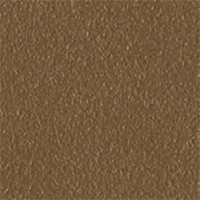 E2 Bronze