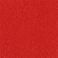 ER Red