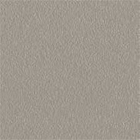 ES Ash Grey