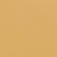 P02 Ocher