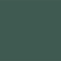 PV1 Dark Green