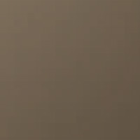 C301 Bronze Mirrored Glass