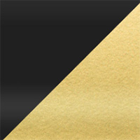 BC02-Bicolor Glossy Black-Gold