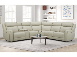 6217L Sectional 1