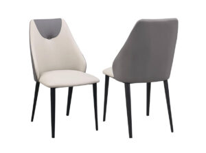 Modern Jocelyn Side Chair by Chintaly 1